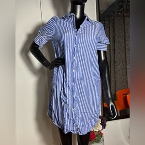 Blue and White Striped Button-Up Dress